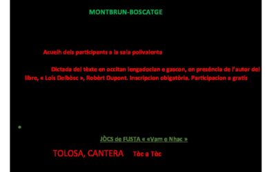 Jornada occitana en Volvèstre programa
